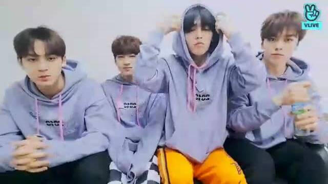 190308 🎊 CARAT LAND Day 1 🎊