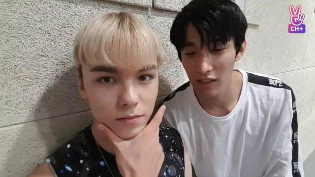 170725 Once a Day VERNON | alt link